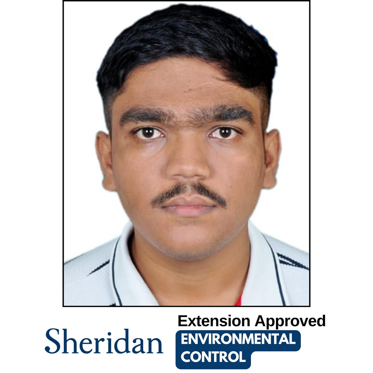 295 — study permit ext