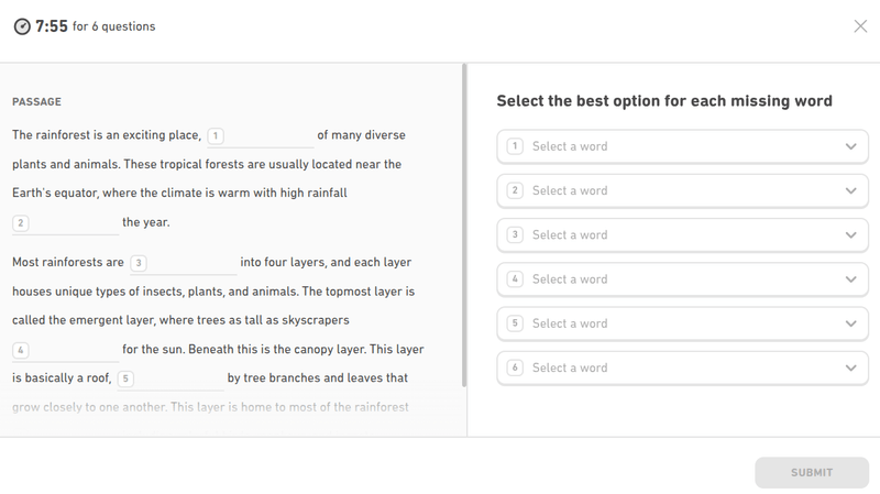 5 — duolingo software photos