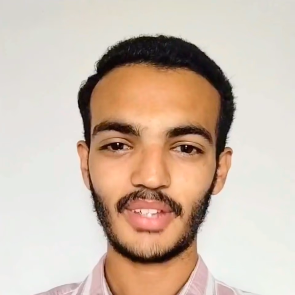 USA VISA (51)