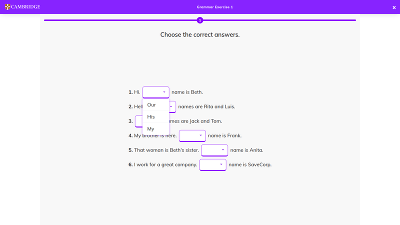 17. workbook grammar exercise — digital pack demo photos