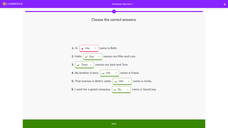 18. workbook grammar exercise checking — digital pack demo photos