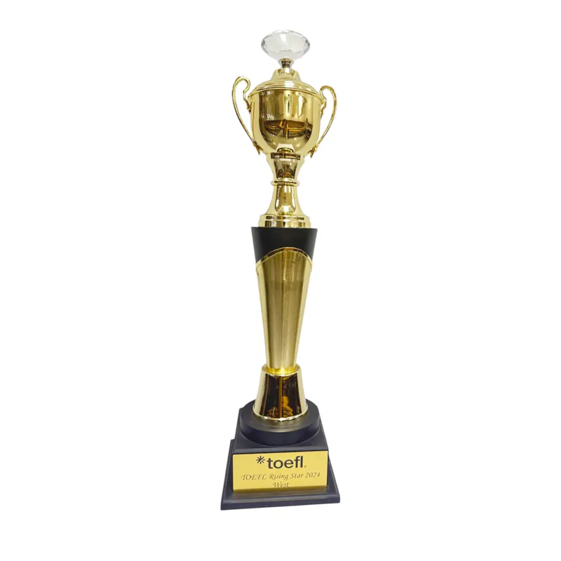 ETS TOEFL Rising Star — West India 2024