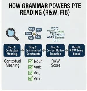 How Grammar Powers PTE Reading